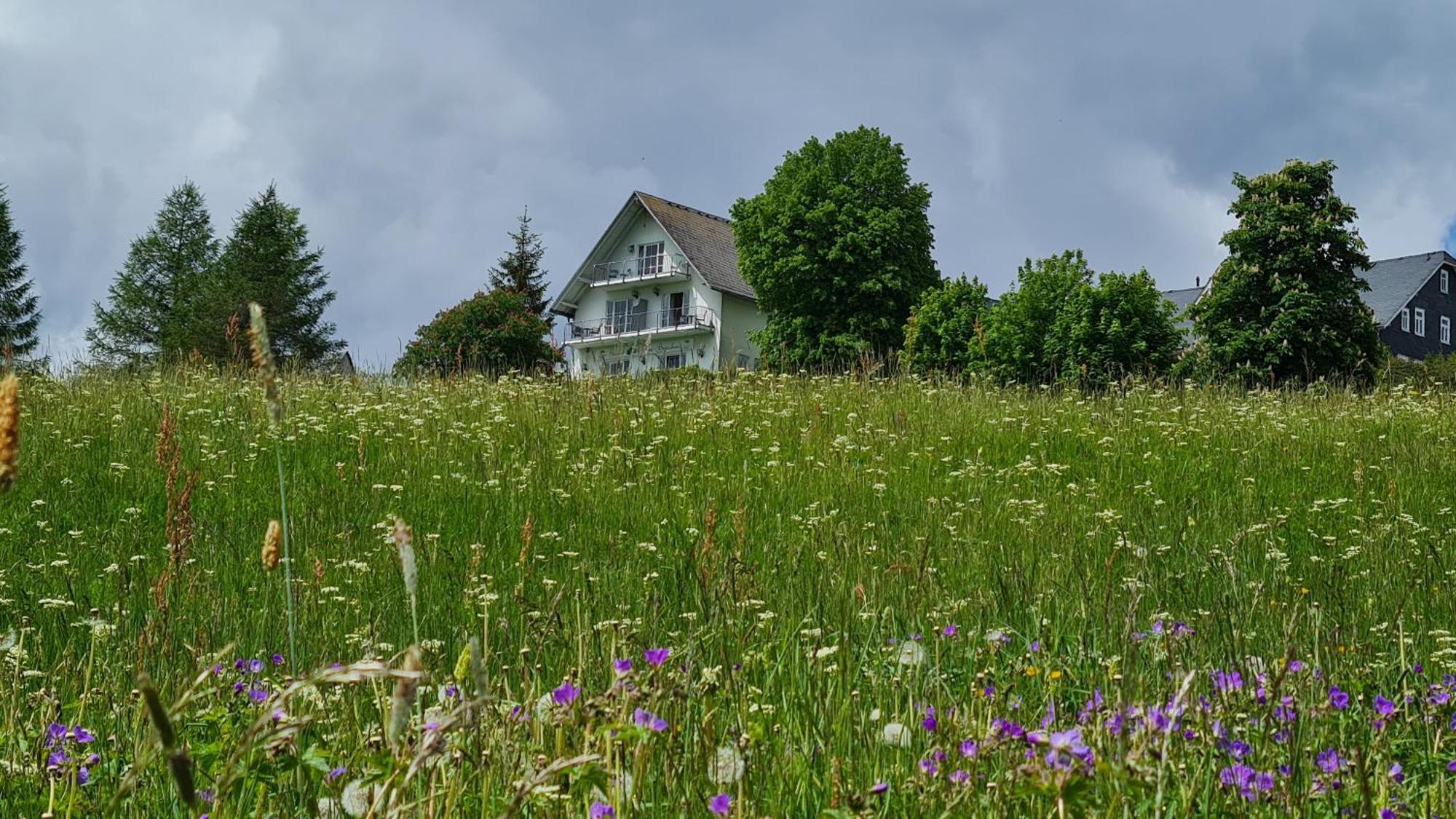 Pension Breitenborn Masserberg Exterior photo